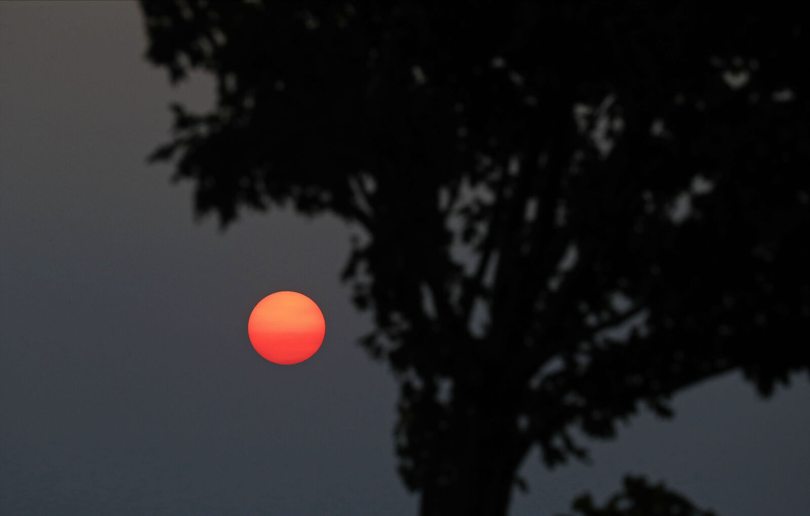Red sun